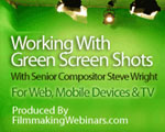 Steve Wright's "Working with Greenscreen Shots" webinar is now an on-demand archive!